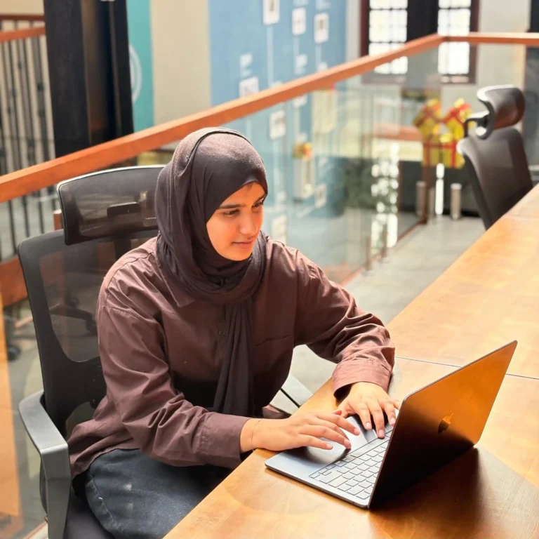 Heenas Parveen Best Digital Marketing Analyst in Abu Dhabi